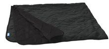 Load image into Gallery viewer, Frank A Berry Picnic Blanket
